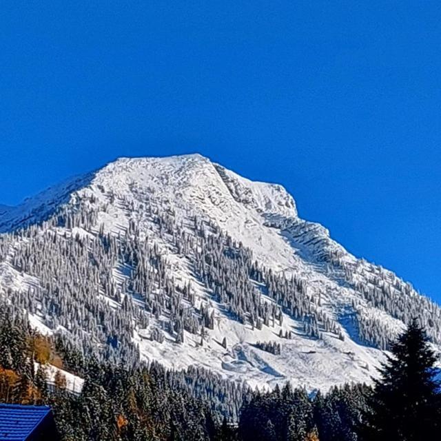 Haus Ortner Apartman Russbach am Pass Gschütt Kültér fotó