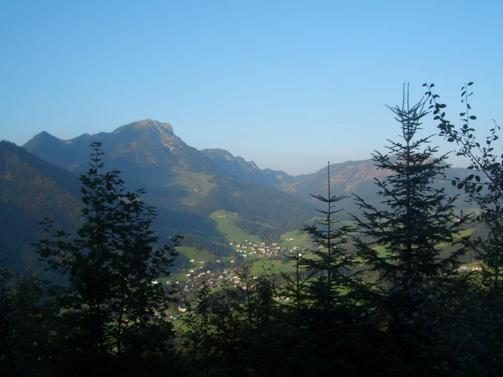 Haus Ortner Apartman Russbach am Pass Gschütt Kültér fotó