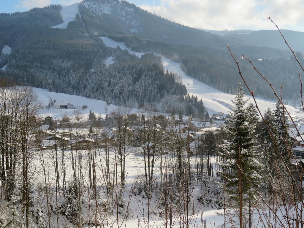 Haus Ortner Apartman Russbach am Pass Gschütt Kültér fotó