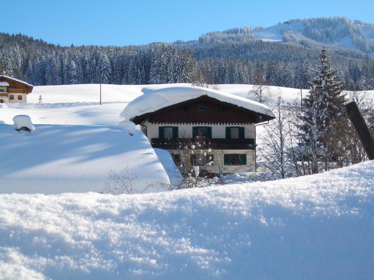 Haus Ortner Apartman Russbach am Pass Gschütt Kültér fotó